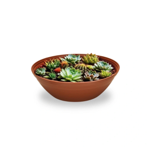 VASO TERRARIO 12,5 LITROS - TERRACOTA